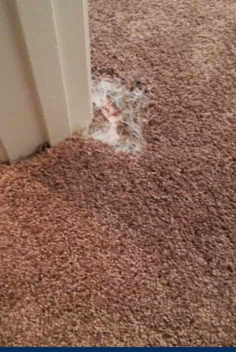 invisible carpet repair