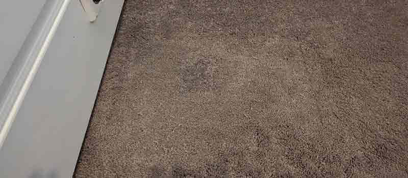 Carpet Repair Indooroopilly