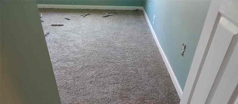 Carpet Repair Mango Hill