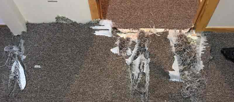 Carpet Repair North Lakes