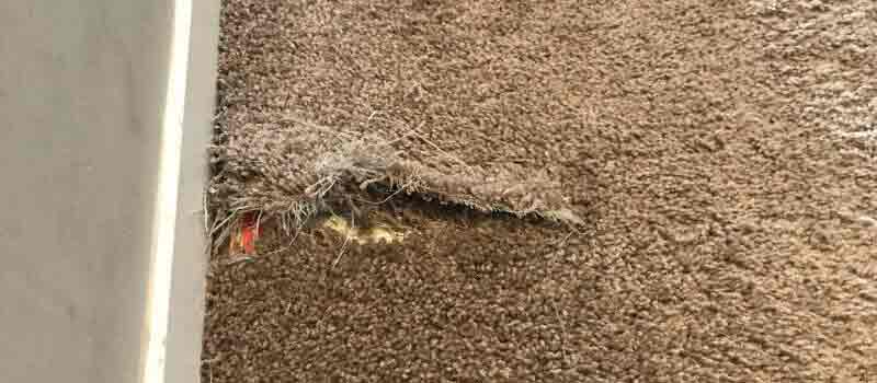 Carpet Repair Redcliffe
