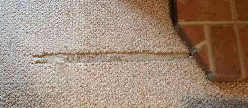 Carpet Repair Robina