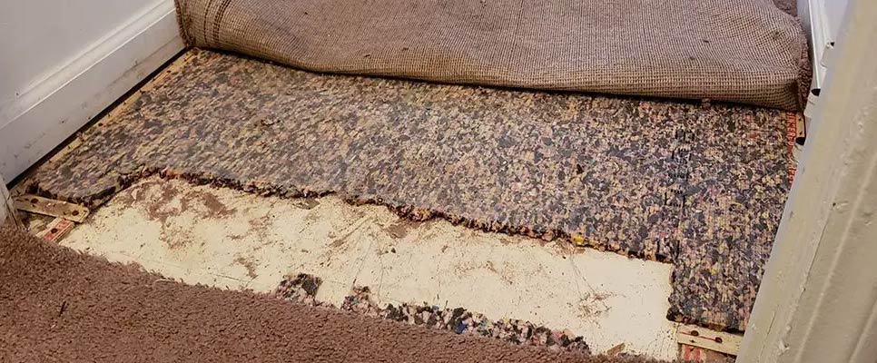 Carpet Repair Manly West