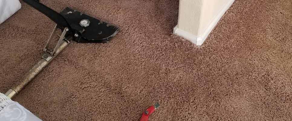 Carpet Needs Professional Attention