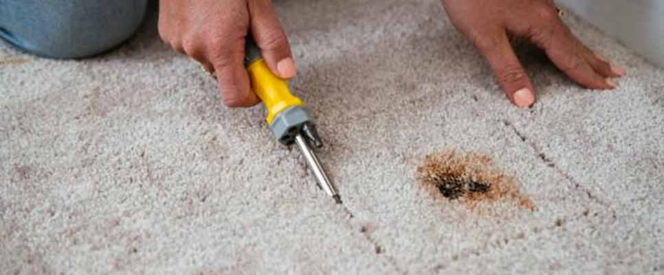 Carpet Repair Carbrook