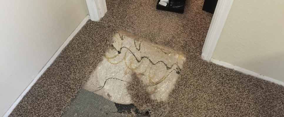 Carpet Repair Palmwoods