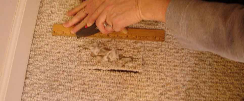 Carpet Repair Services Essential