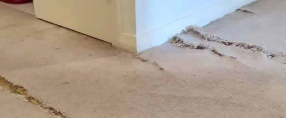 Carpet Repair Springfield