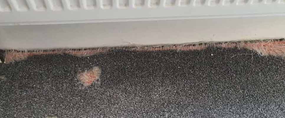 Carpet Repair Watsons Bay