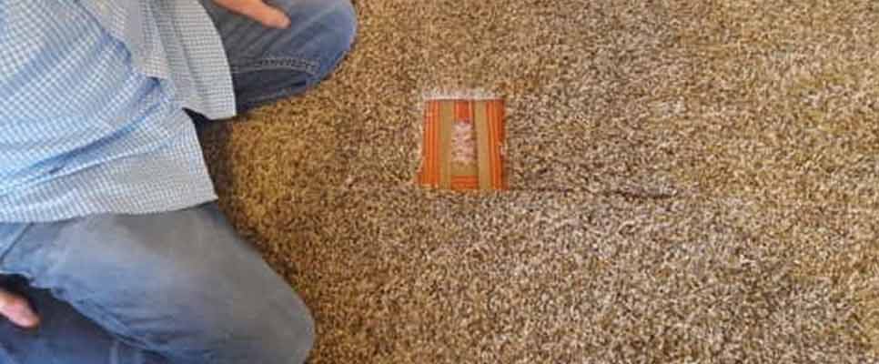 Carpet Hole Repairs in Meadowbrook