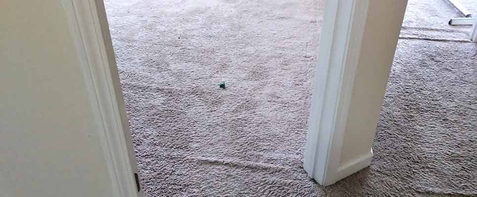 Carpet Repair Brisbane