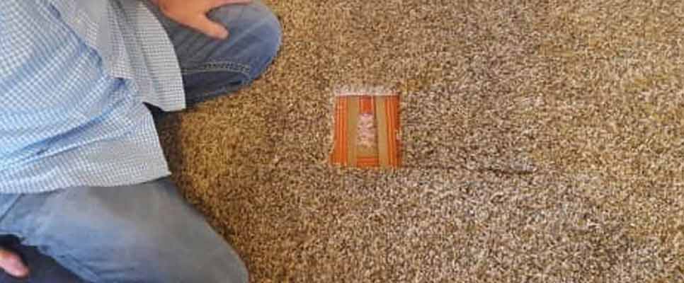 Carpet Repair Graceville