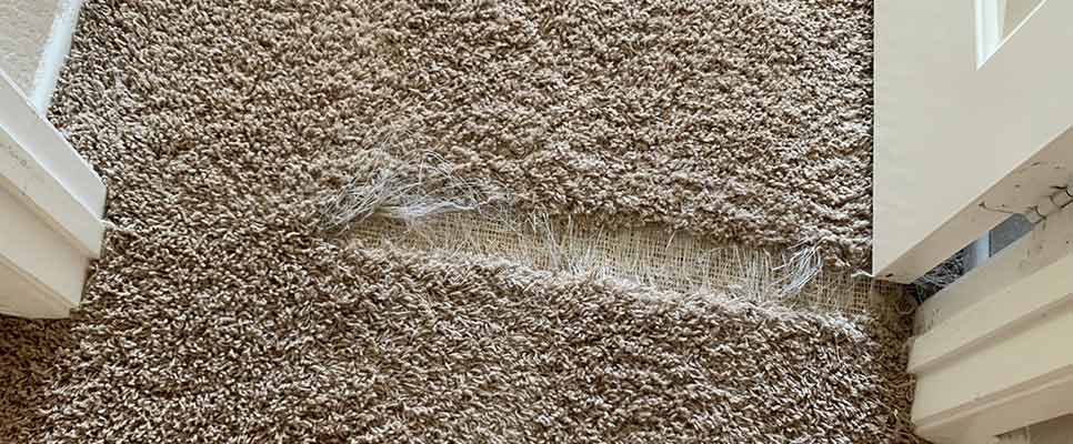 Carpet Repair Loganholme