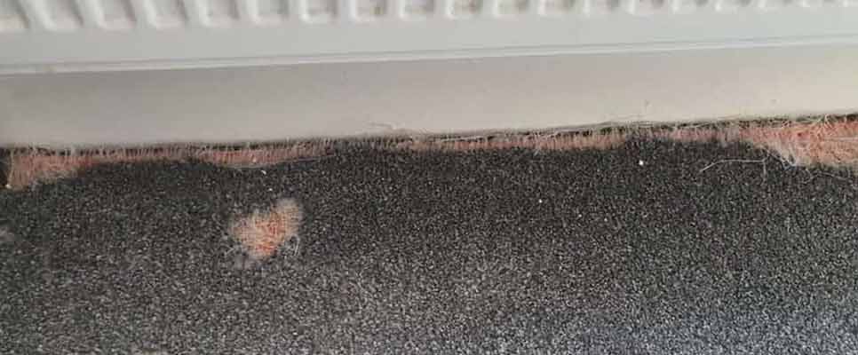 Carpet Repair Burpengary