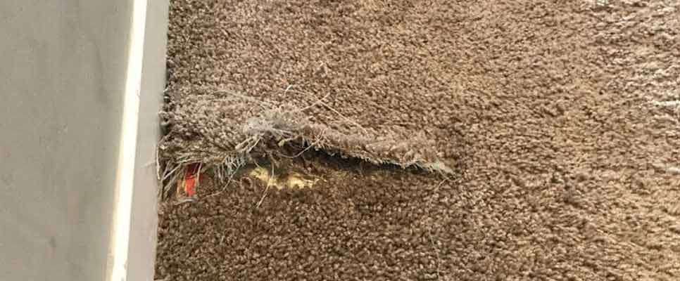Carpet Repair Carseldine