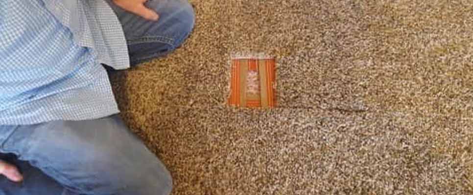 Carpet Repair Dakabin