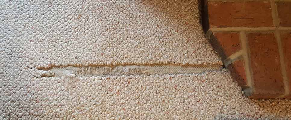 Carpet Repair Deagon