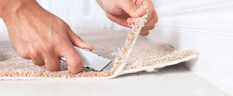 Carpet Repair Kuluin