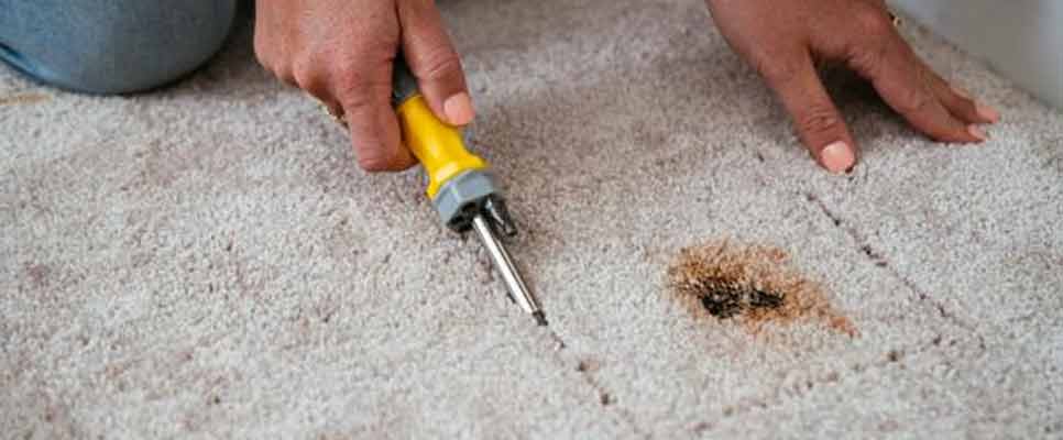 Carpet Repair Riverhills