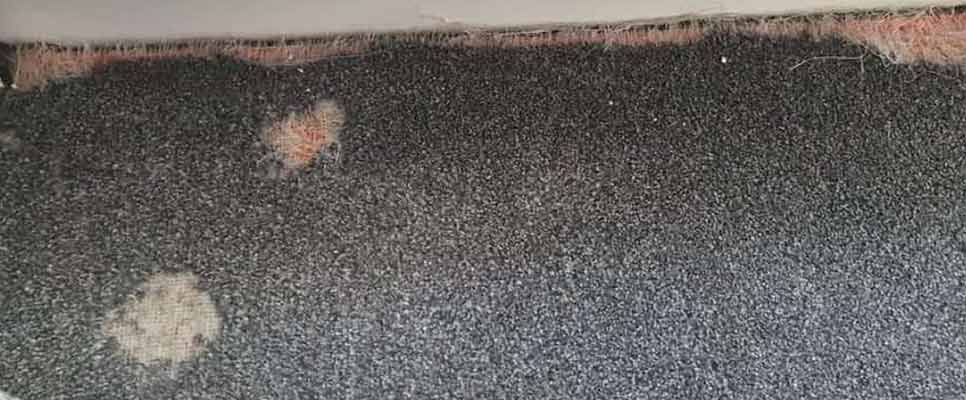 Carpet Repair Wolffdene